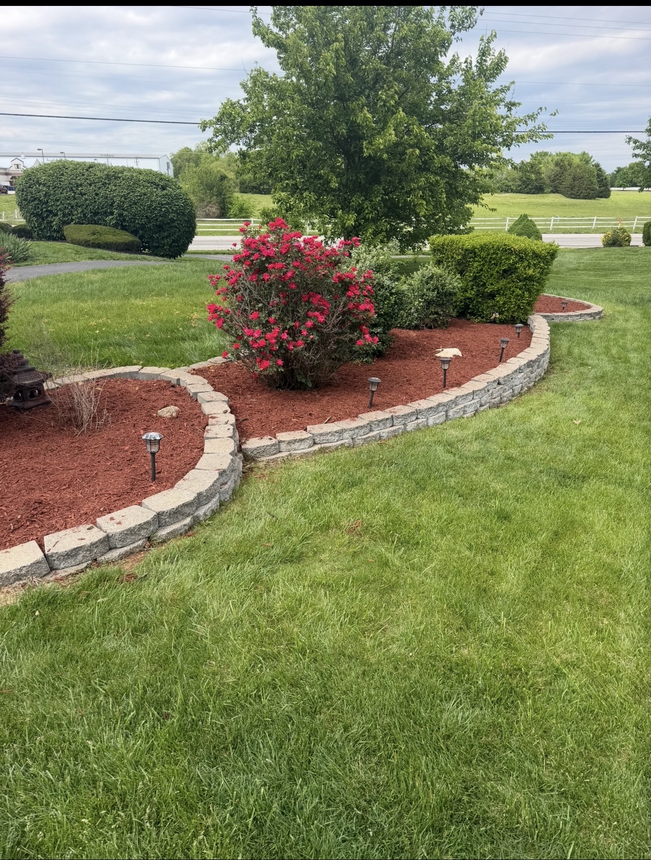 Curved mulch bed with red mulch and stone border