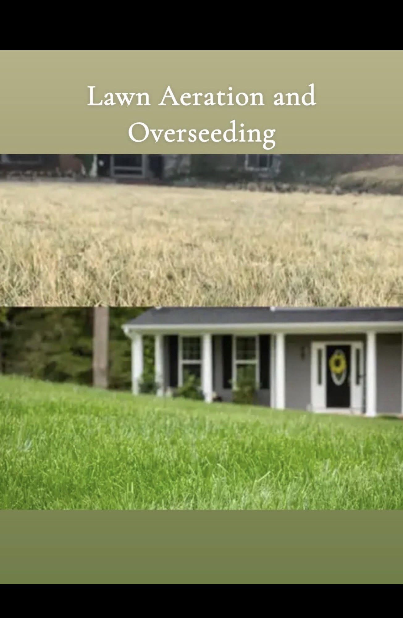 Lawn aeration and overseeding service