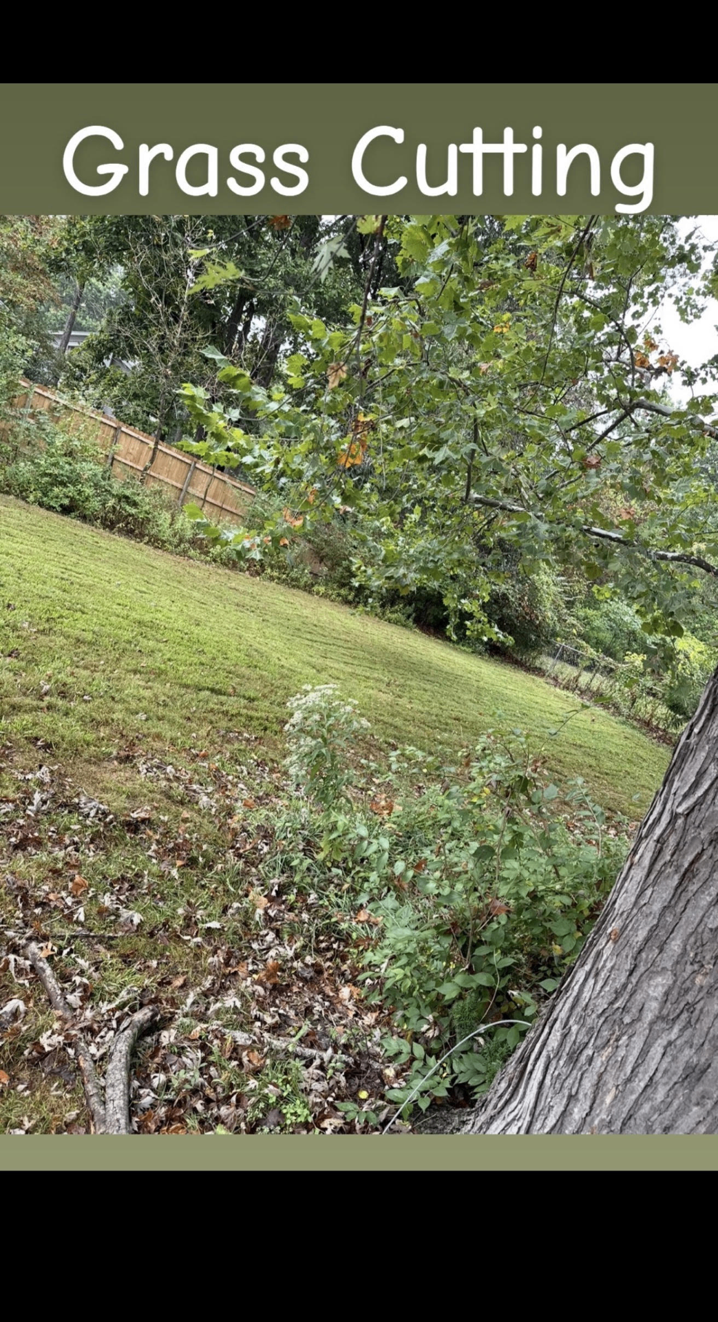 Freshly mowed lawn