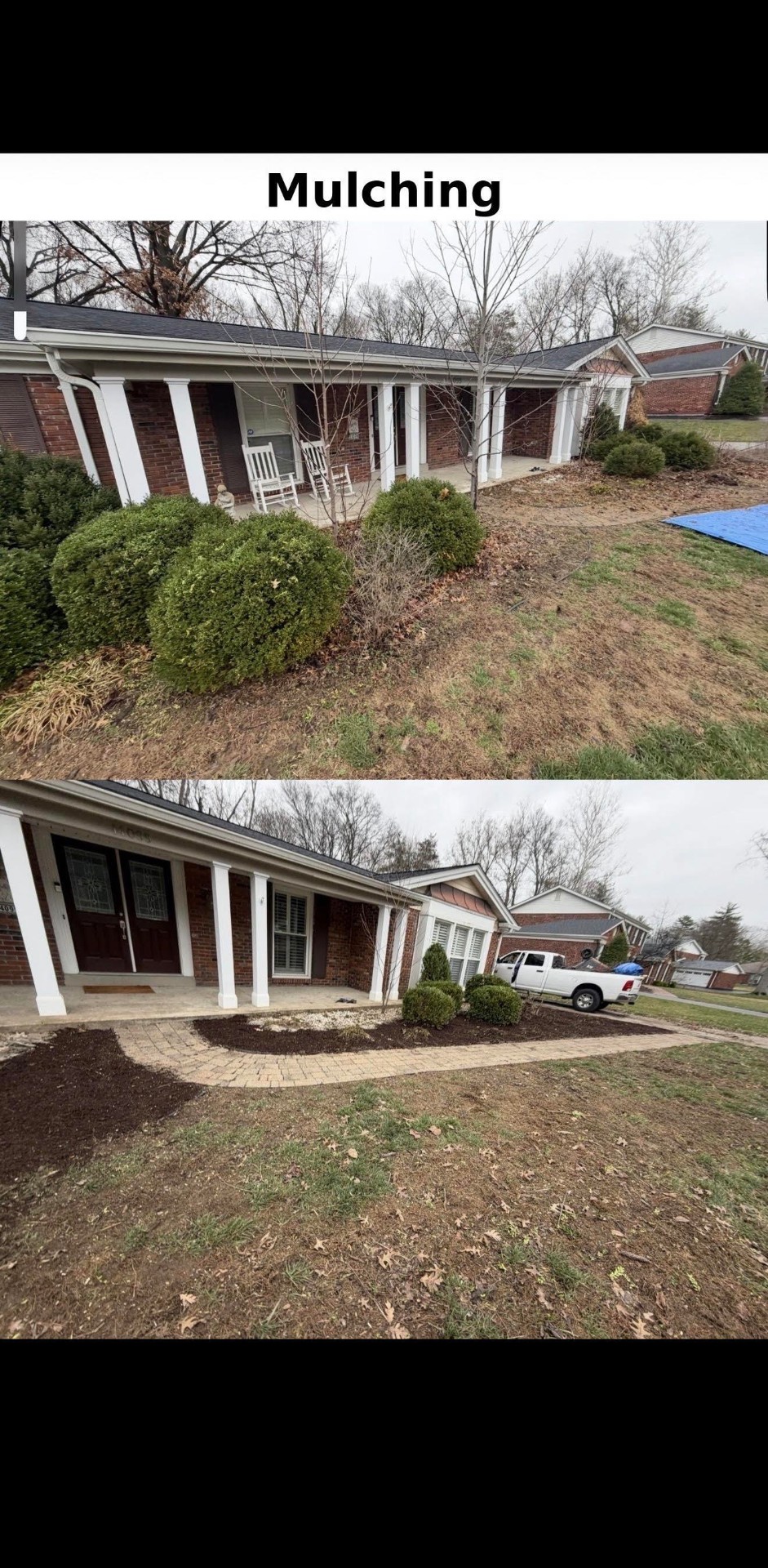 Fresh mulch installed around landscaping